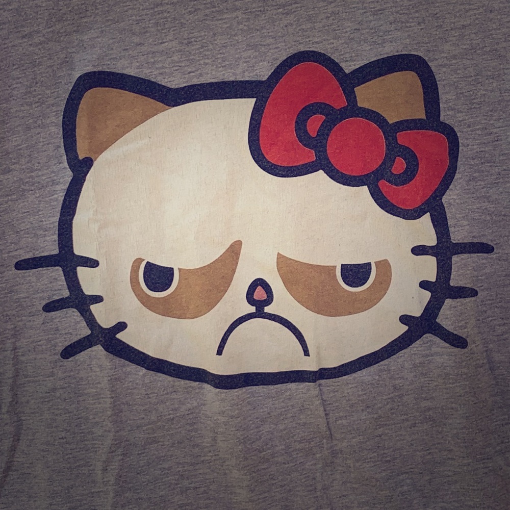Hello Grumpy (cat) tee tshirt - juniors MED